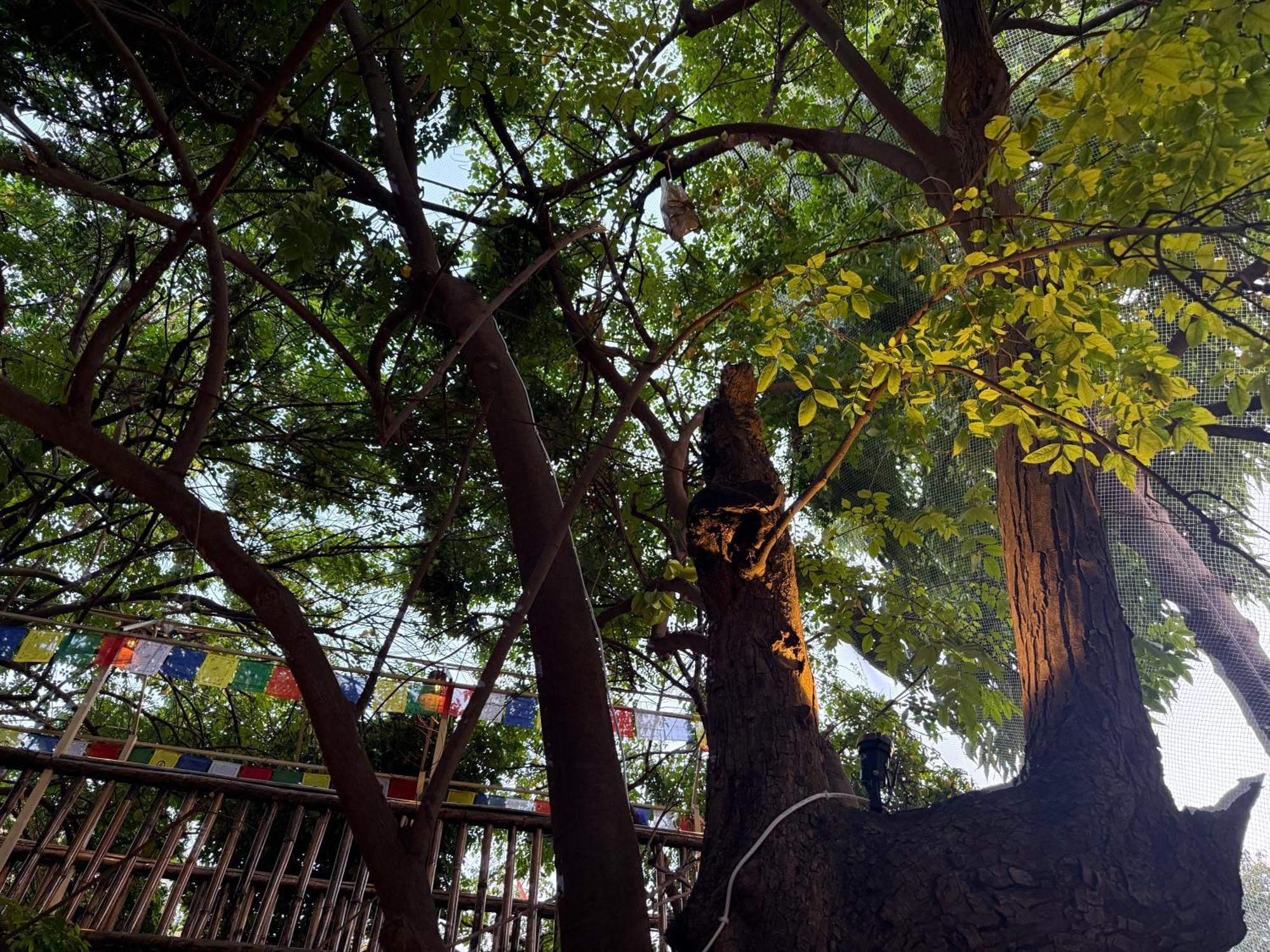 Hotel Green Heaven Resort Pushkar Exterior foto