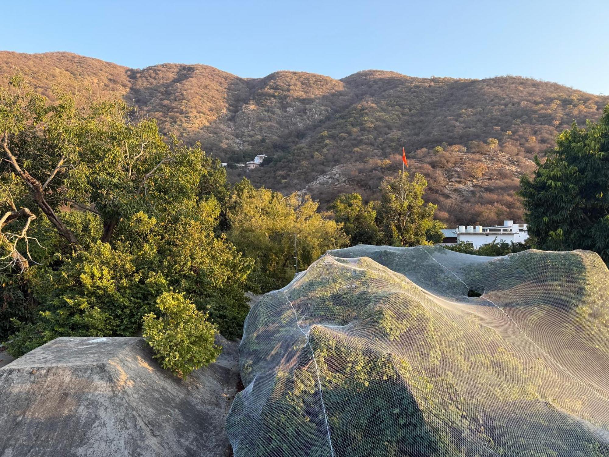 Hotel Green Heaven Resort Pushkar Exterior foto