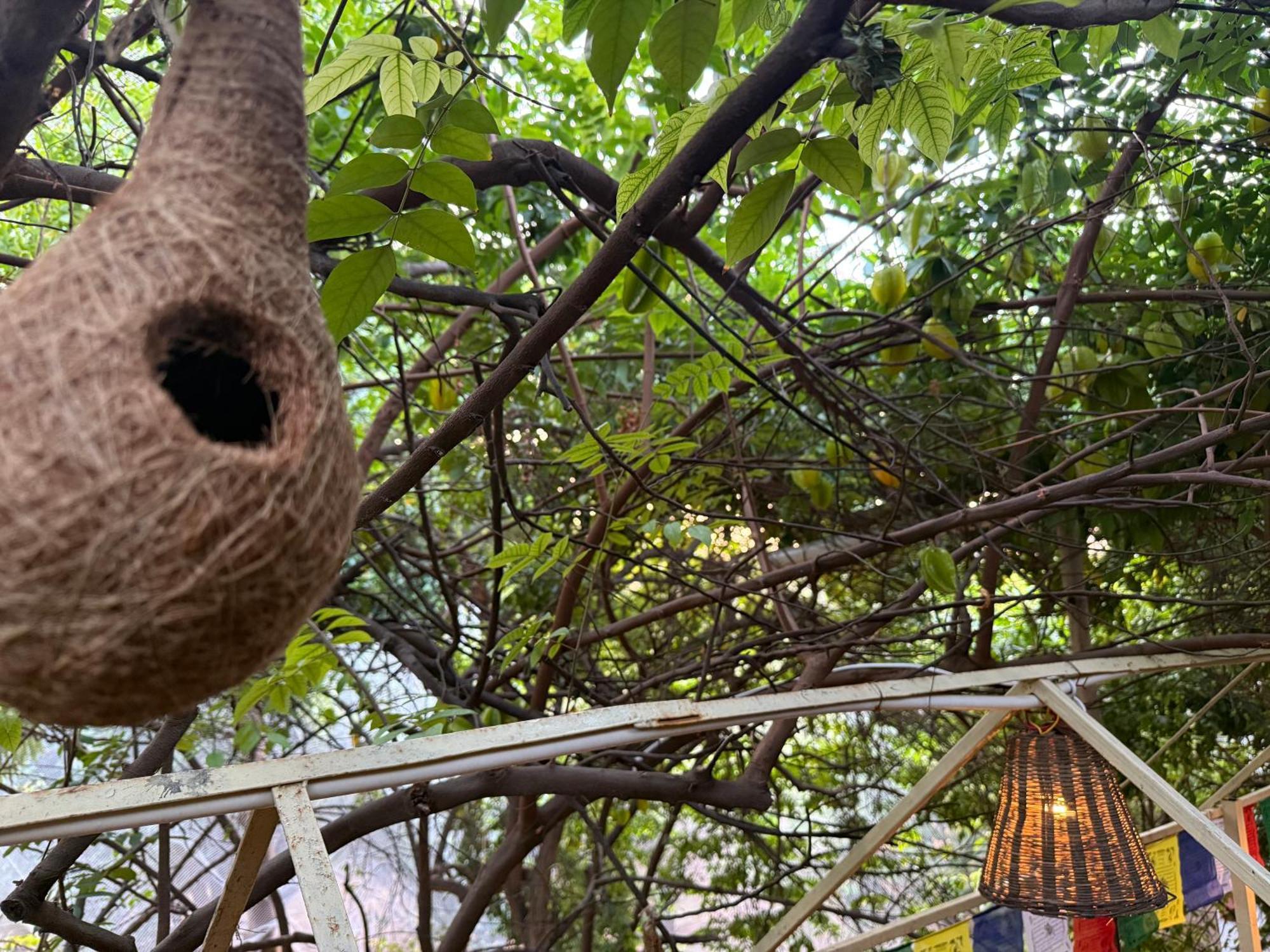 Hotel Green Heaven Resort Pushkar Exterior foto
