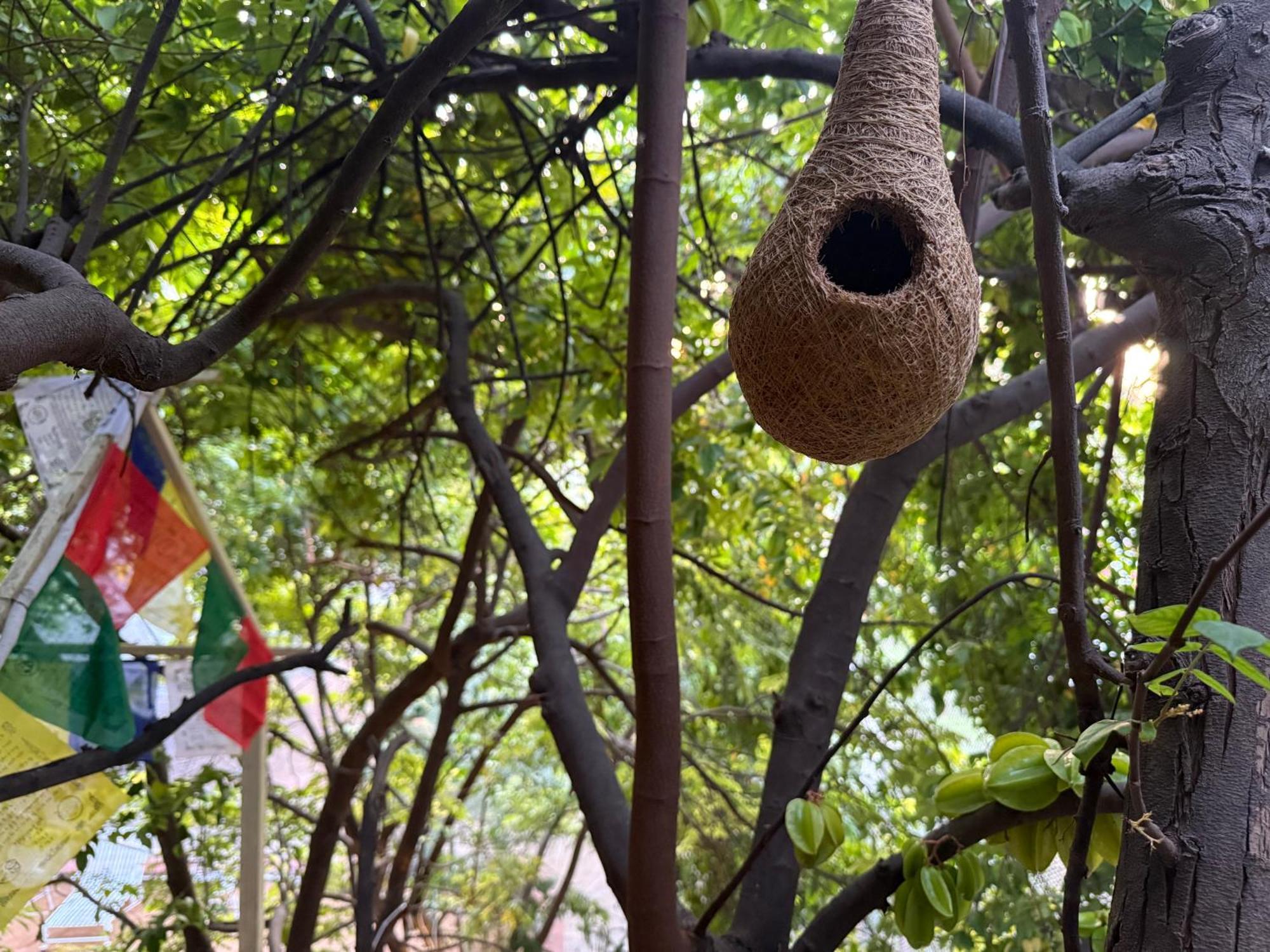 Hotel Green Heaven Resort Pushkar Exterior foto