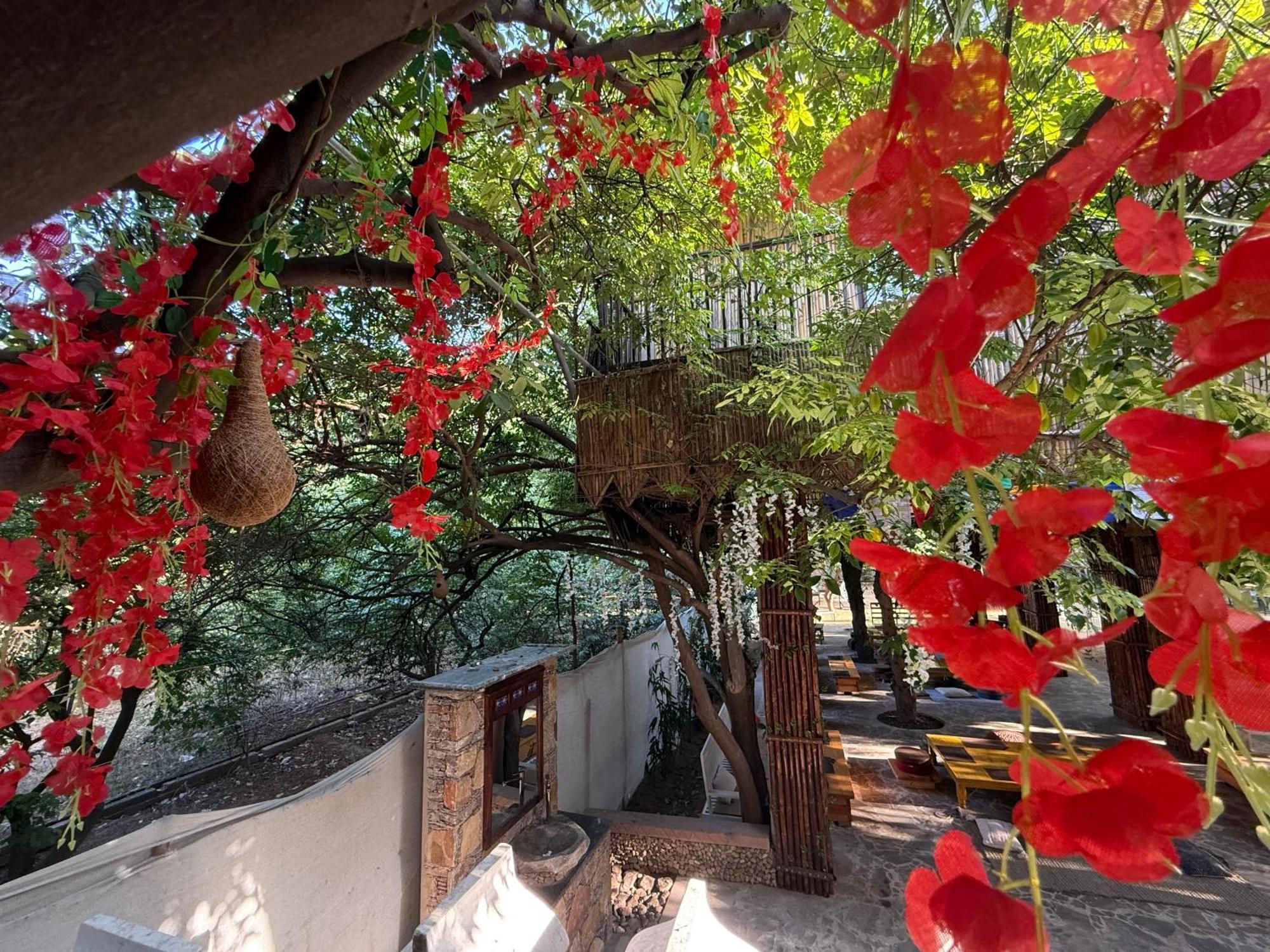 Hotel Green Heaven Resort Pushkar Exterior foto