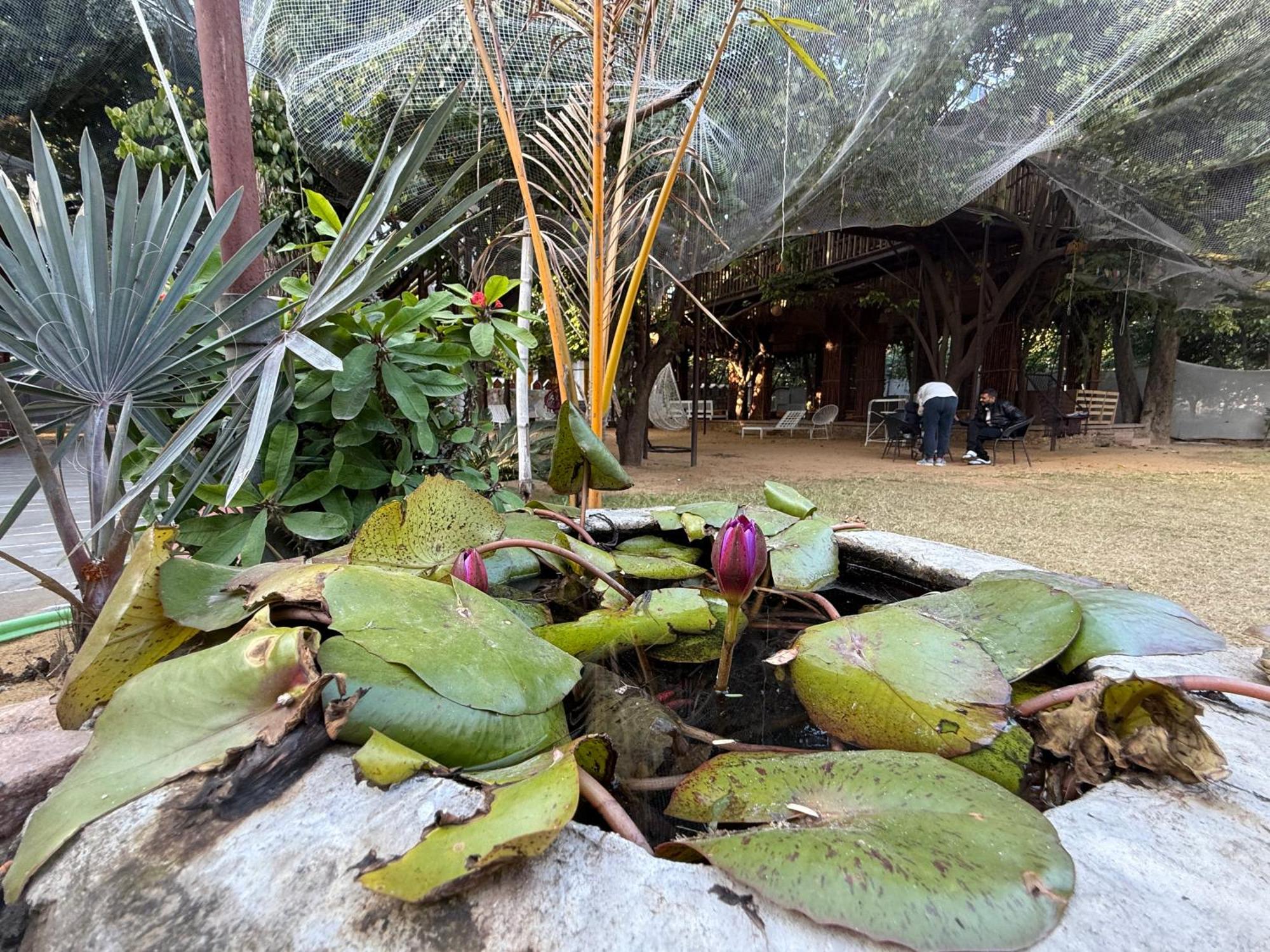 Hotel Green Heaven Resort Pushkar Exterior foto